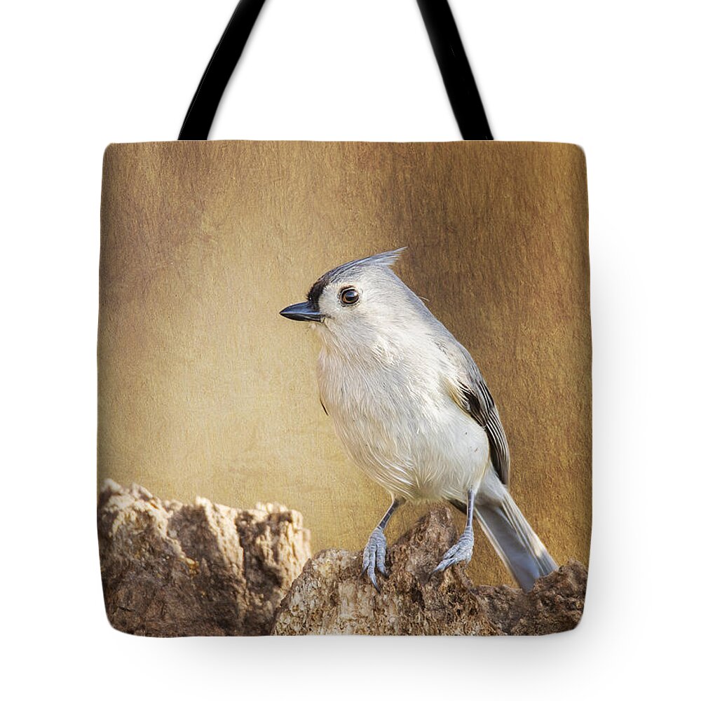 Baeolophus Tote Bag featuring the photograph Tufted On Tree Bark by Bill and Linda Tiepelman