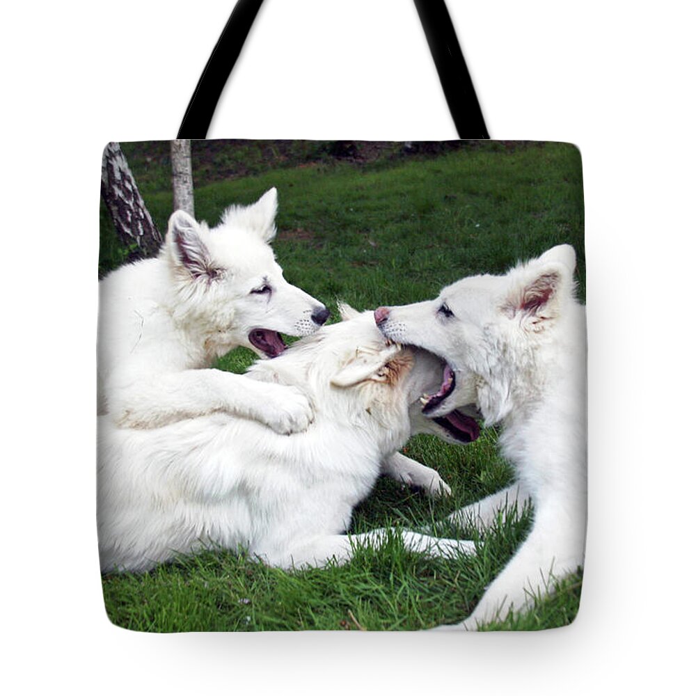  Tote Bag featuring the photograph Tug Jane and Greta by Margaret Hood