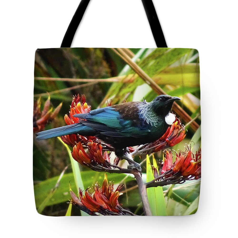 Tui Tote Bag featuring the photograph Tui in Flax by Angela DeFrias