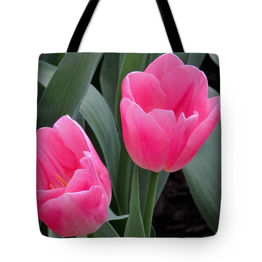 Orchid Tote Bag featuring the photograph Tulip by Cesar Vieira
