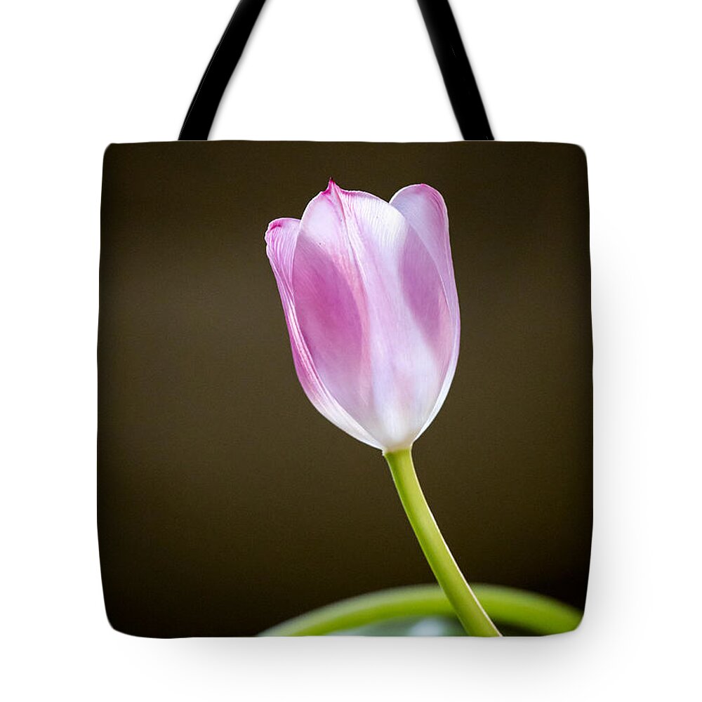 Tulip Tote Bag featuring the photograph Tulip by Charles Hite