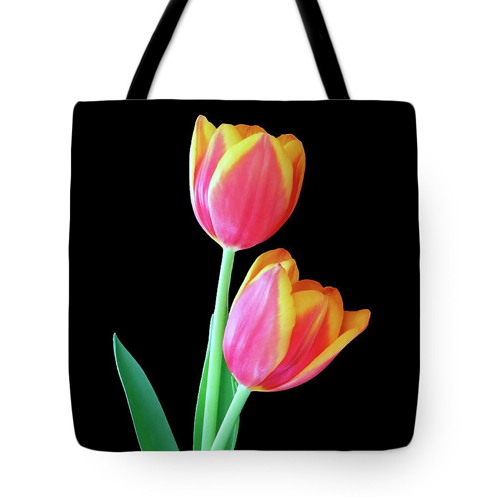 Tulip Tote Bag featuring the photograph Tulip Duo by Johanna Hurmerinta