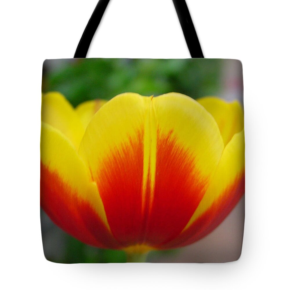 Tulip. Flower Tote Bag featuring the photograph Tulip by Kathy Bucari