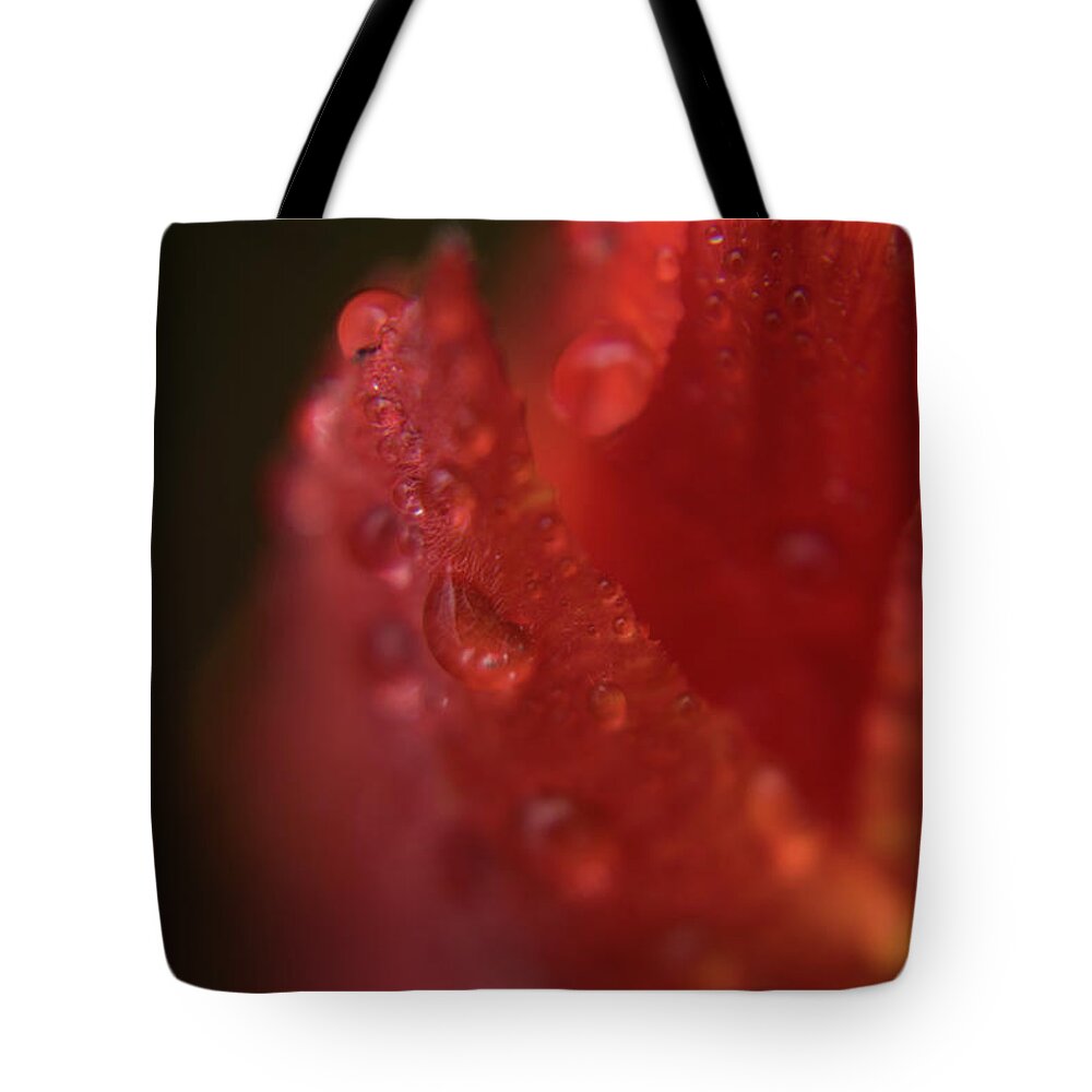 Tulip Tote Bag featuring the photograph Tulip Petal raindrops-1844 by Steve Somerville