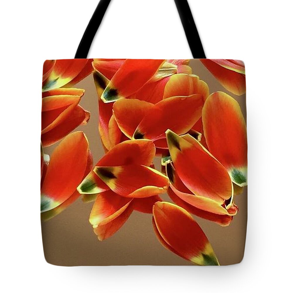 Color Pattern Energy Tulip Tote Bag featuring the photograph Tulip Series 1-1 by J Doyne Miller
