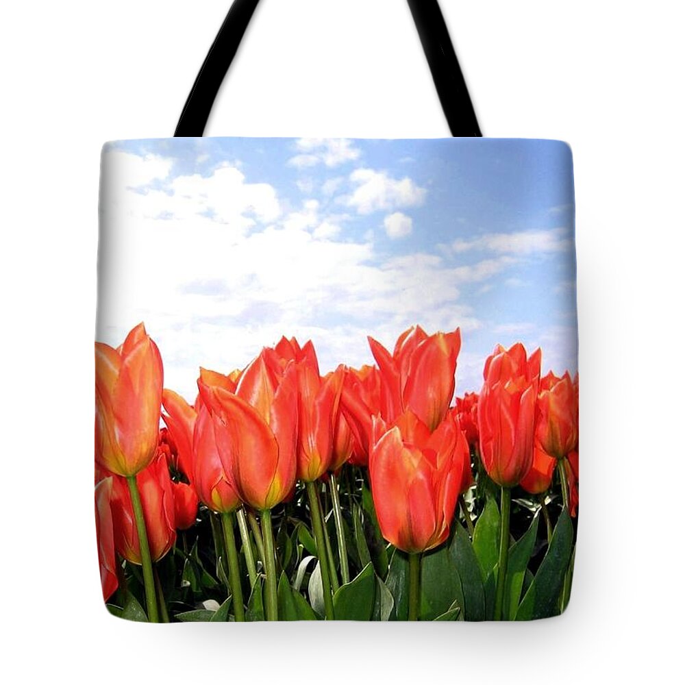 Agriculture Tote Bag featuring the photograph Tulip Town 17 by Will Borden