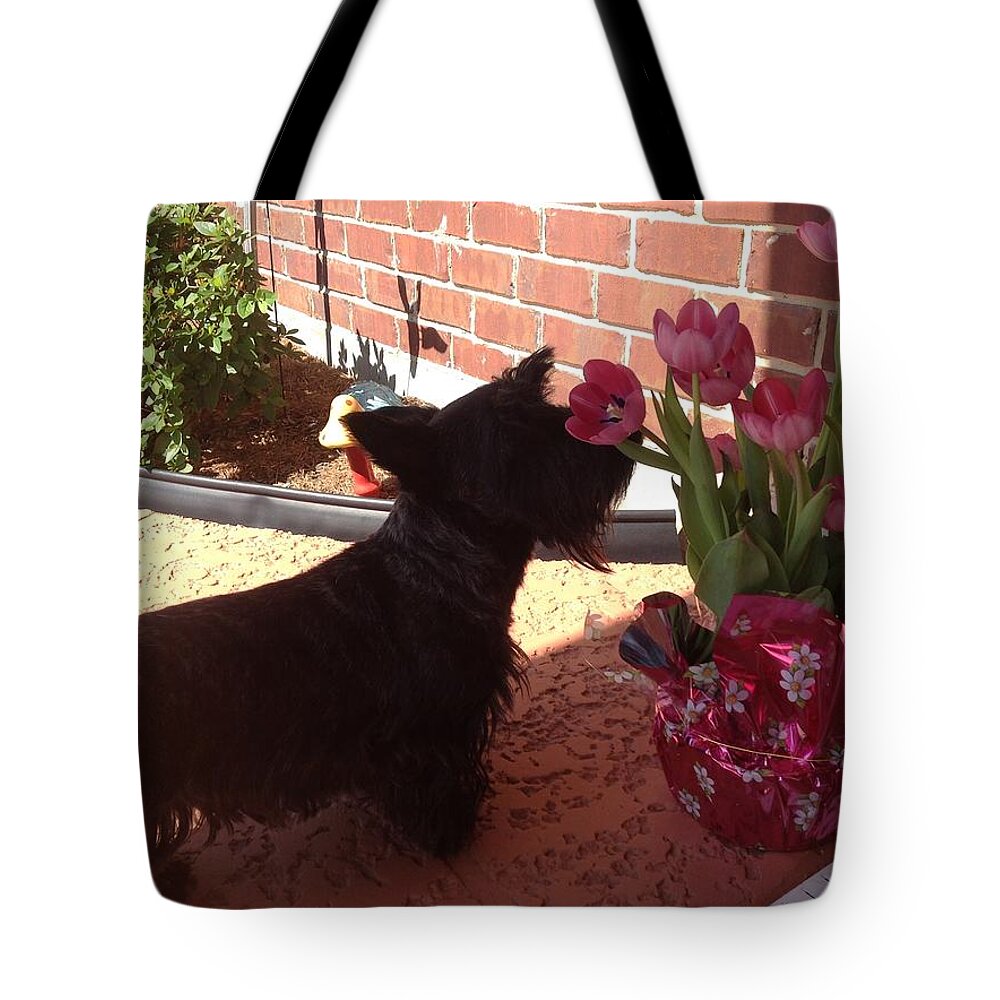 Tulips Tote Bag featuring the photograph Tulips by Diane Ferguson