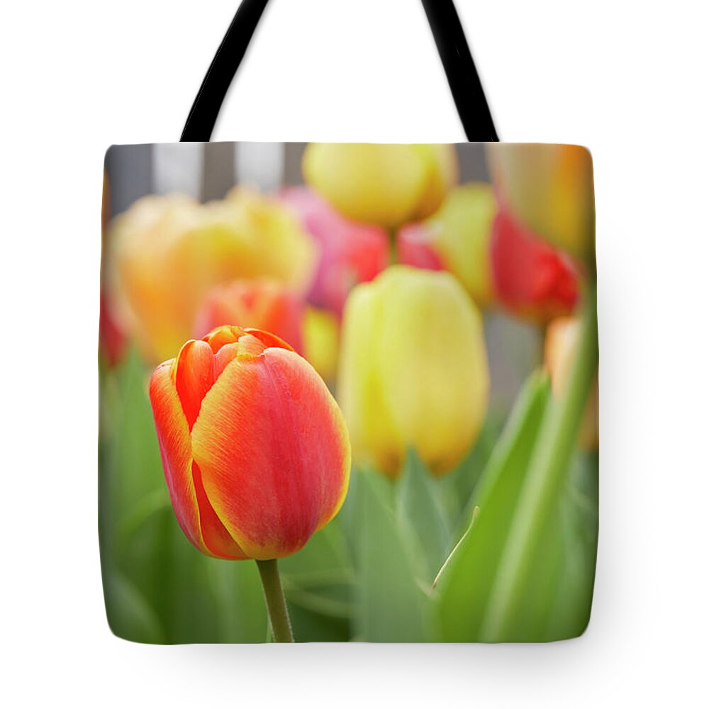 Garden Gate Tote Bag featuring the photograph Tulips by Garden Gate magazine