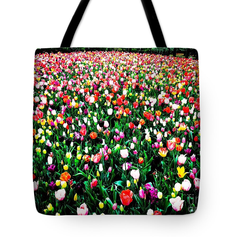Tulips Tote Bag featuring the photograph Tulips by HELGE Art Gallery