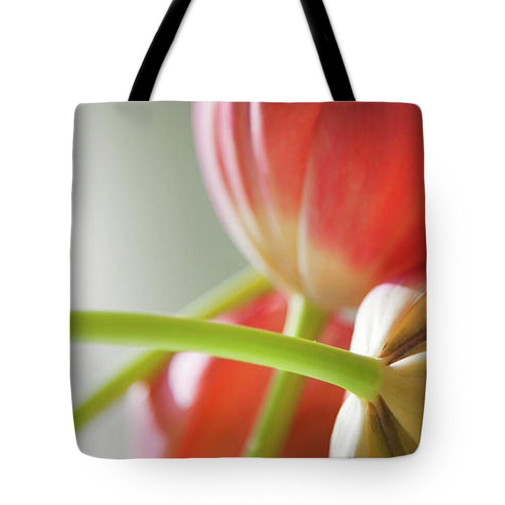 Floral Tote Bag featuring the photograph Tulips In The Morning by Theresa Tahara