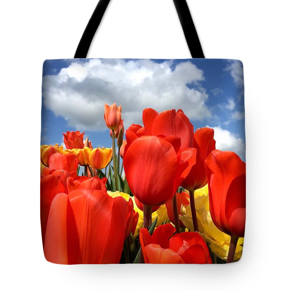 Tulip Tote Bag featuring the photograph Tulips In The Sky by Brian Eberly