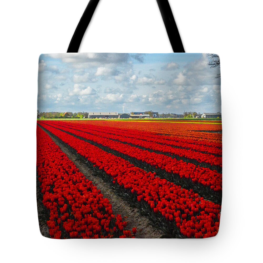 Tulip Tote Bag featuring the photograph Tulips by Mim White