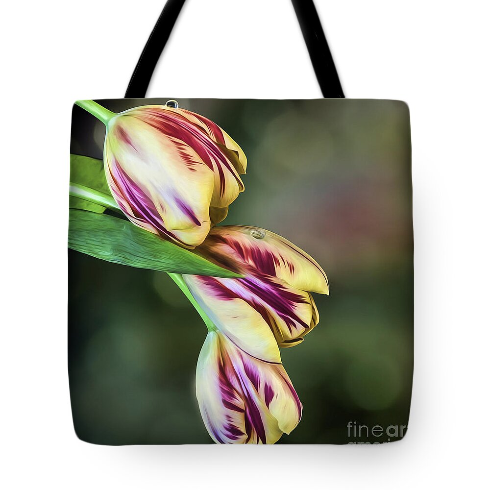 Pulips Tote Bag featuring the photograph Tulips - Red and Yellow by Shirley Mangini