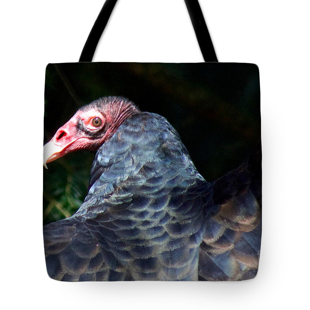Photography Tote Bag featuring the photograph Turkey Vulture by Sean Griffin