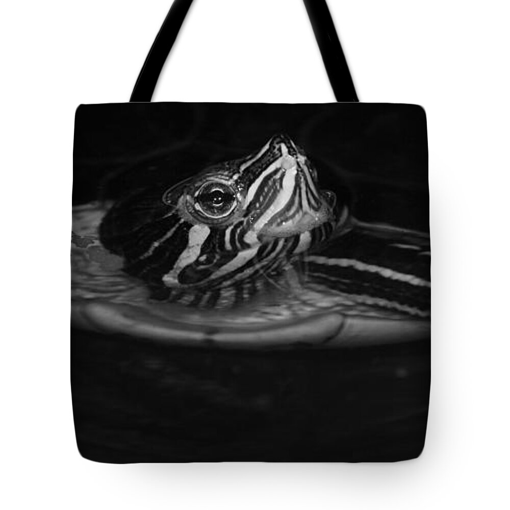 Mud Turtle Tote Bag featuring the photograph Turtle Turtle.... by Tammy Schneider