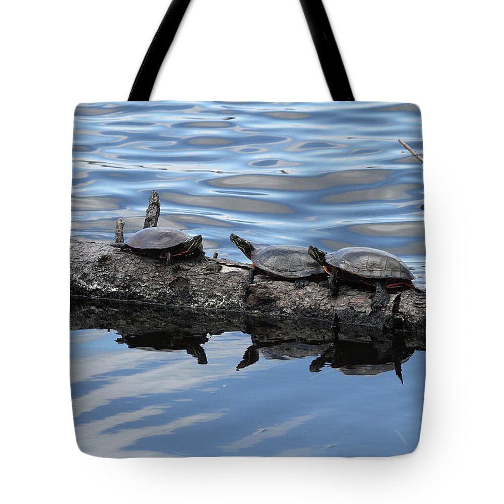 Turtles Tote Bag featuring the photograph Turtles by Jackson Pearson