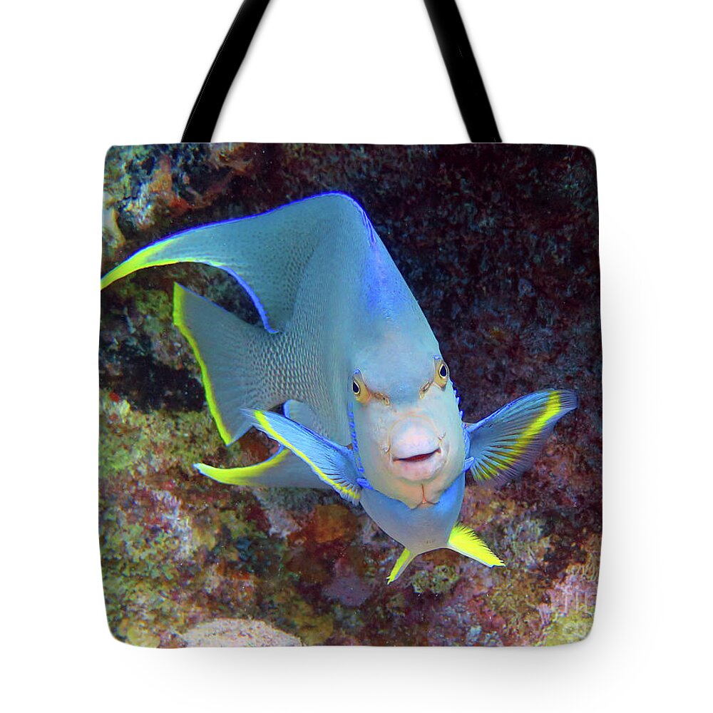 Underwater Tote Bag featuring the photograph Tweety Bird by Daryl Duda