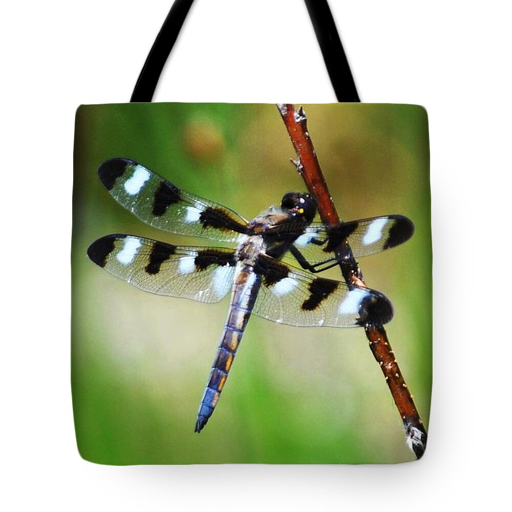 Dragonfly Tote Bag featuring the photograph Twelve Spotted Skimmer by Rodney Campbell
