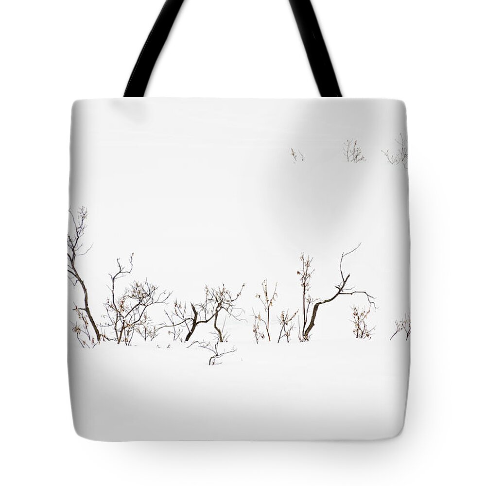 Twigs Tote Bag featuring the photograph Twigs in Snow by Bryan Carter