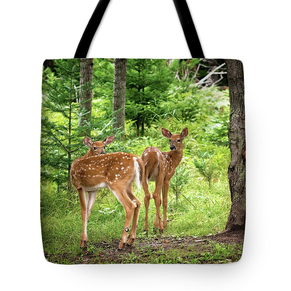 Twin Fawn Print Tote Bag featuring the photograph Twin Fawns Whitetail Deer Print by Gwen Gibson