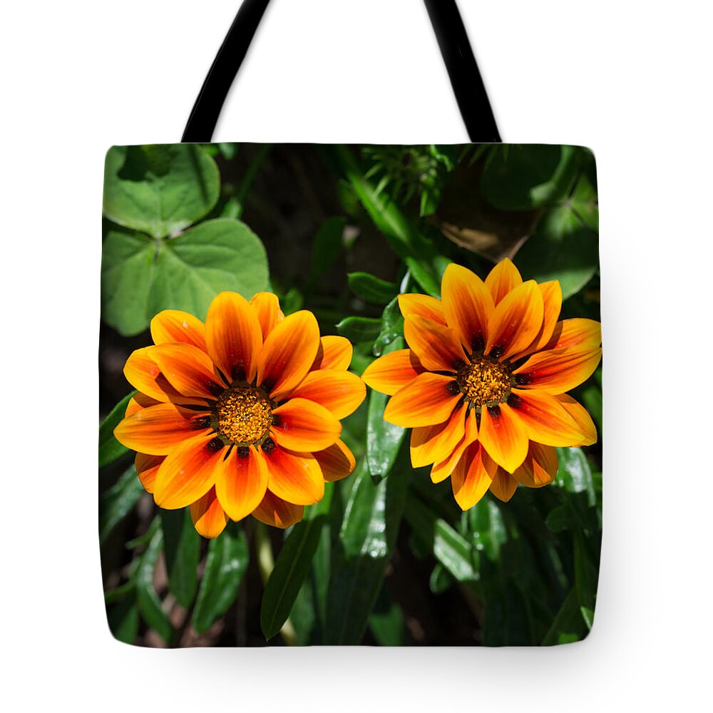 Flower Tote Bag featuring the photograph Twin Orange Flowers by Valerie Cason