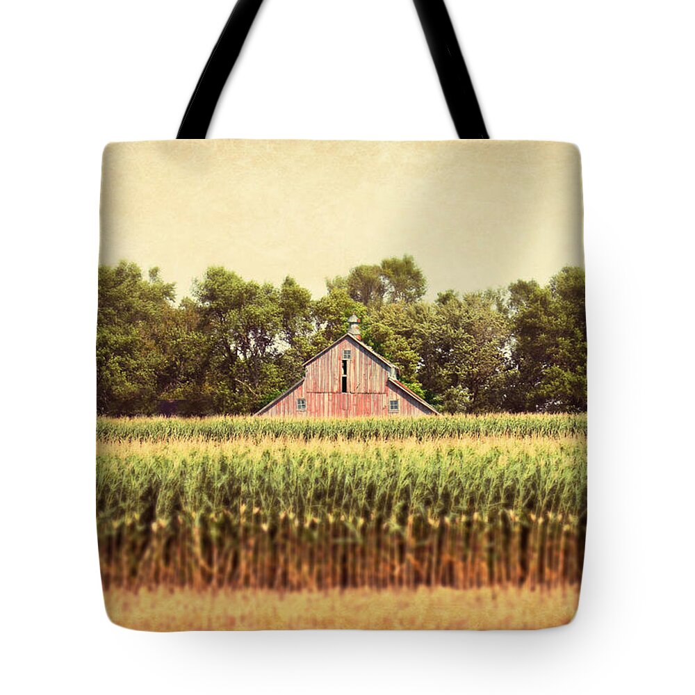 Barn Tote Bag featuring the photograph Twin Peaks by Julie Hamilton