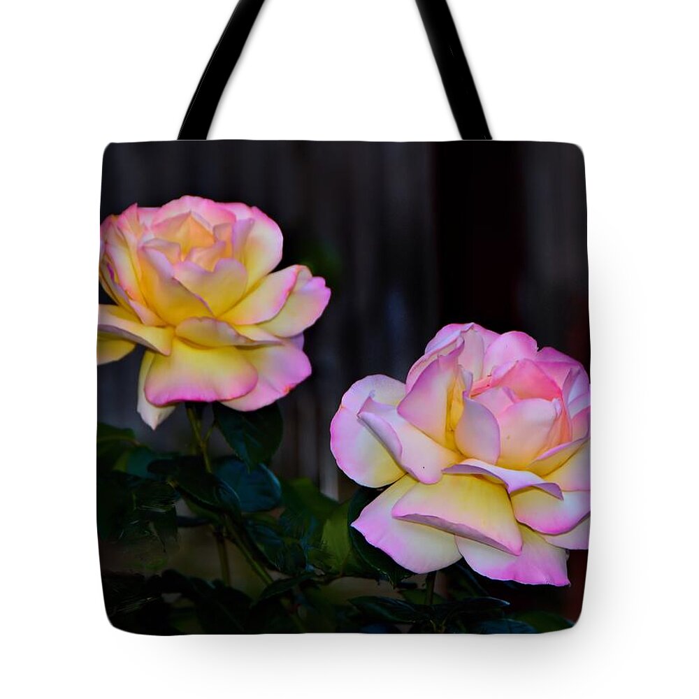 Roses Tote Bag featuring the photograph Twin Roses by Josephine Buschman