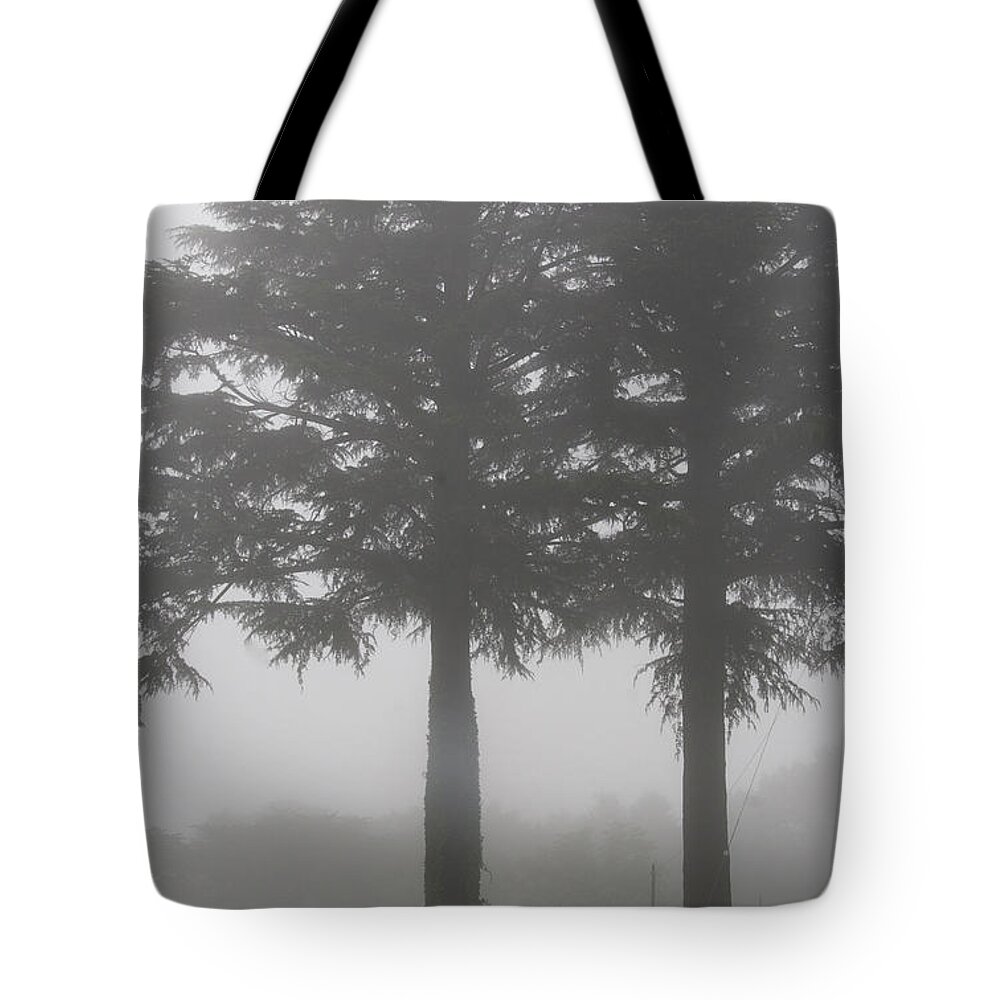 Morning Tote Bag featuring the photograph Twin Trees by Masami Iida