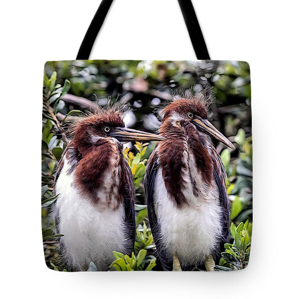 Birds Tote Bag featuring the mixed media Twins by DB Hayes