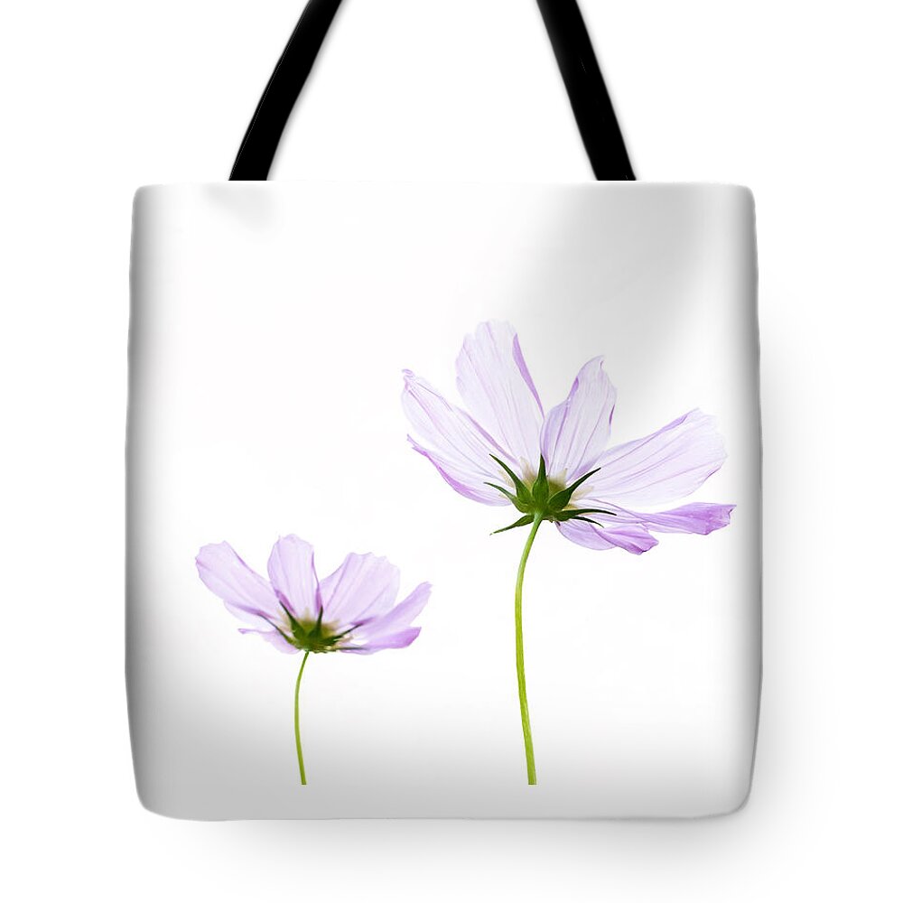 Pink Cosmos Flowers Tote Bag featuring the photograph Twins by Marina Kojukhova