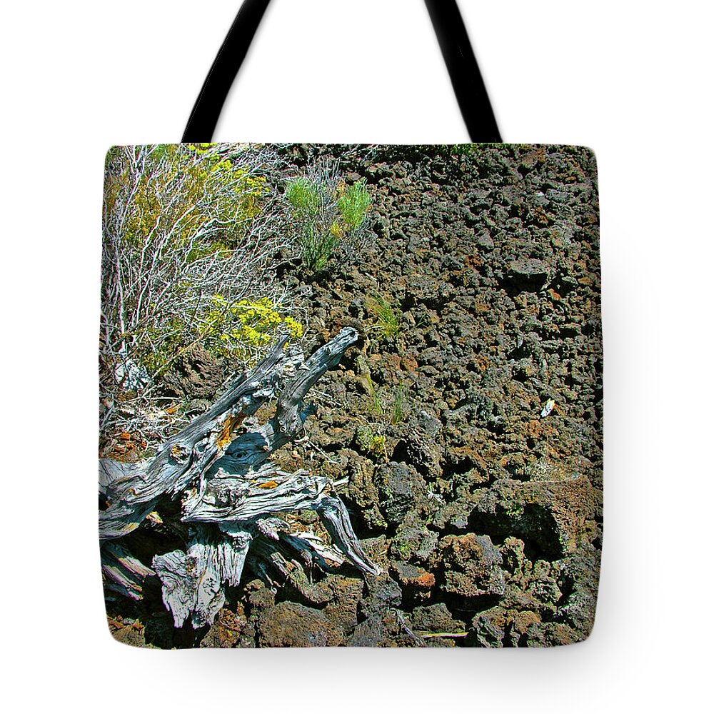 Twisted Stump And Aa Lava Tote Bag featuring the photograph Twisted Stump and Aa Lava, Trail of the Molten Land in Newberry National Volcanic Monument, Oregon by Ruth Hager