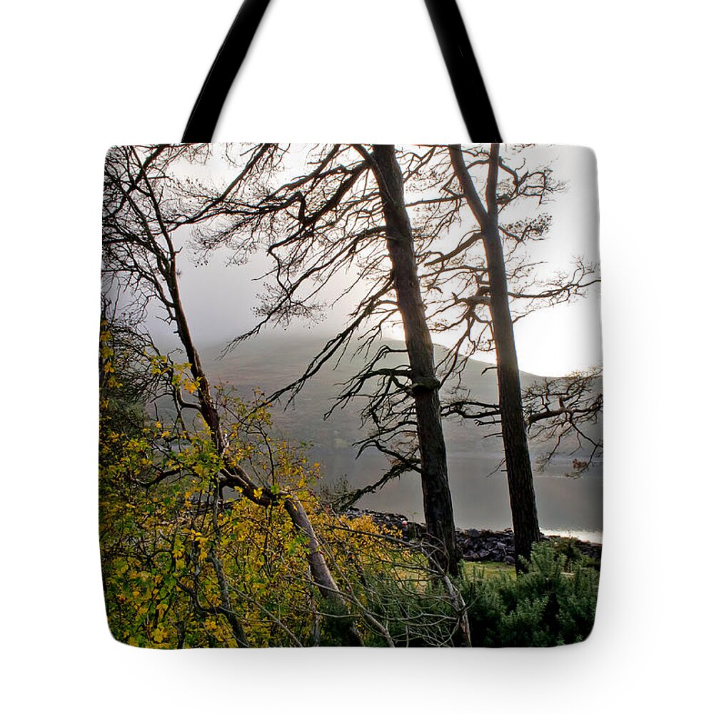 Tree Tote Bag featuring the photograph Two bare trees. by Elena Perelman