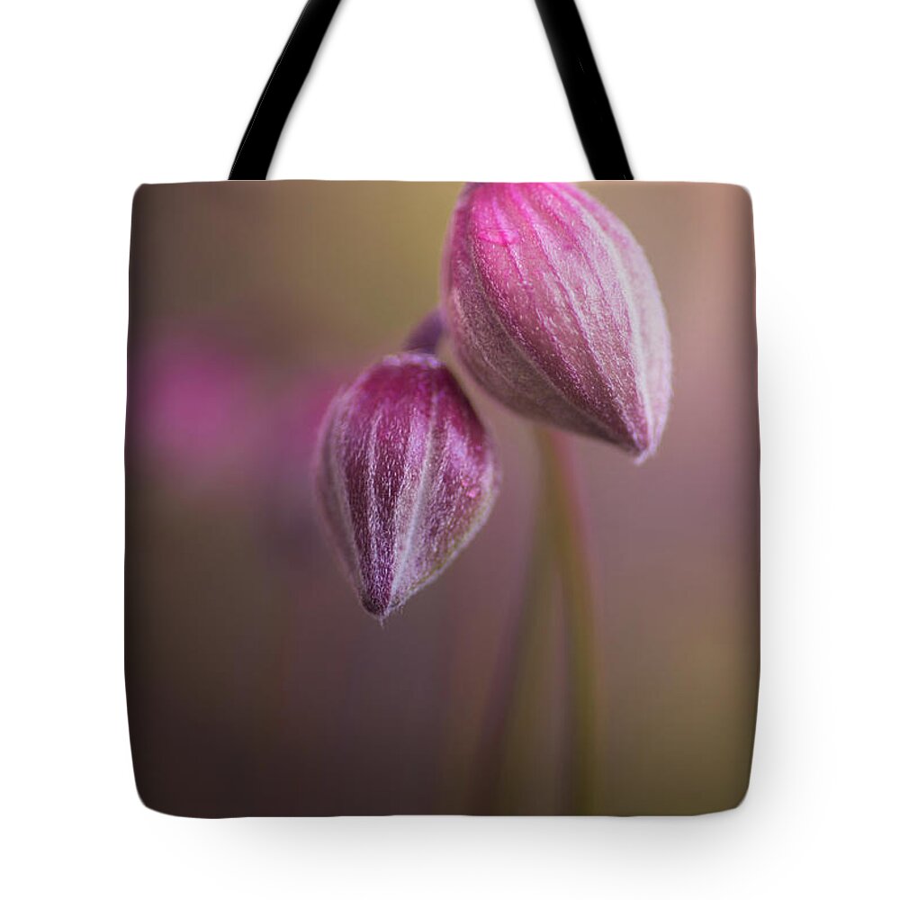 Spring Tote Bag featuring the photograph Two Buds by Peter Scott