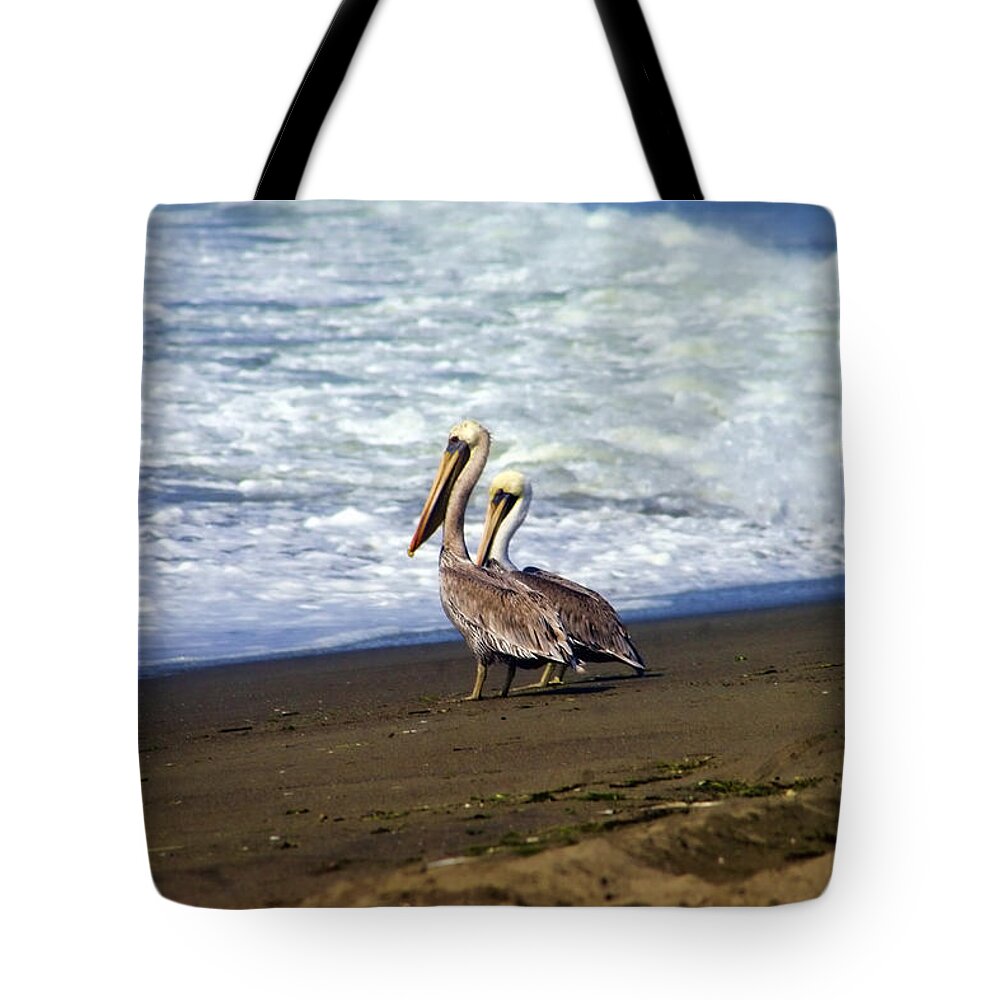Pelicans Tote Bag featuring the photograph Two by the Sea by Bruce Richardson