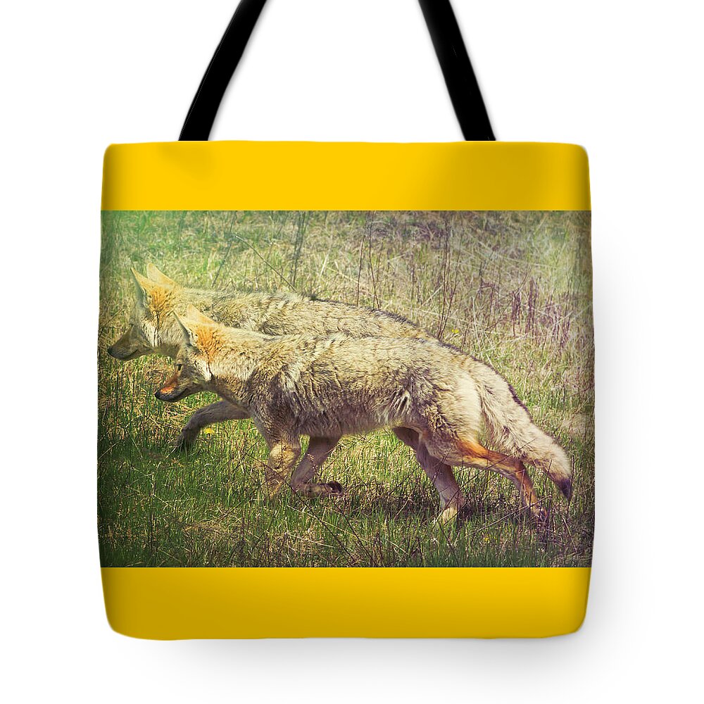 Animal Tote Bag featuring the photograph Two Coyotes by Natalie Rotman Cote