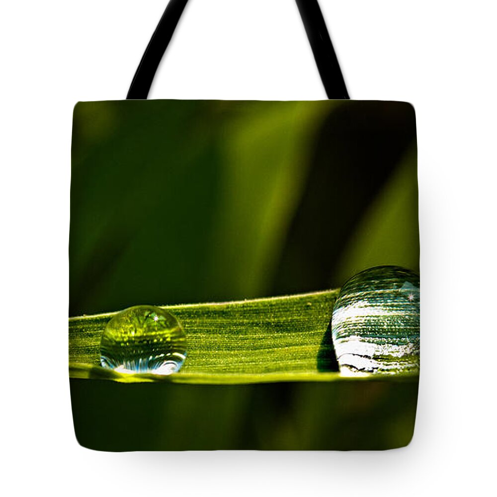 Grass Tote Bag featuring the photograph Two Drops by Christopher Holmes