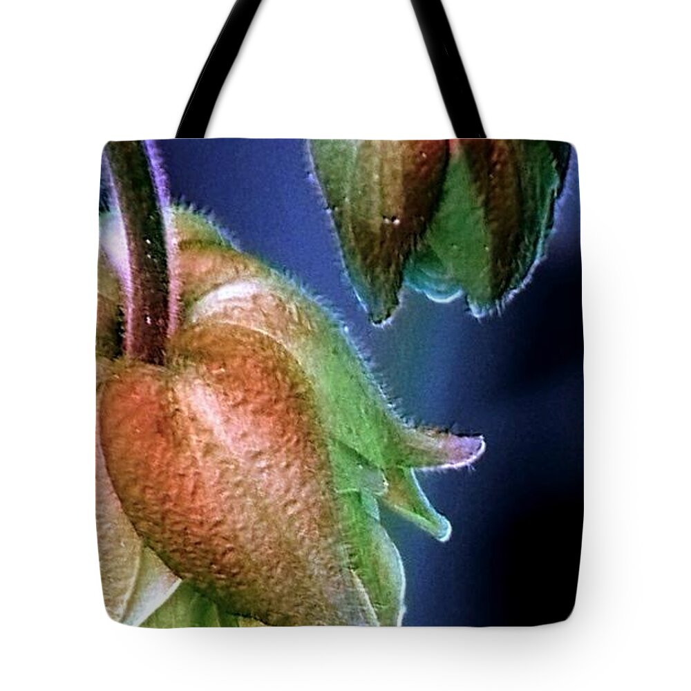 Two Tote Bag featuring the photograph Two by Elfriede Fulda