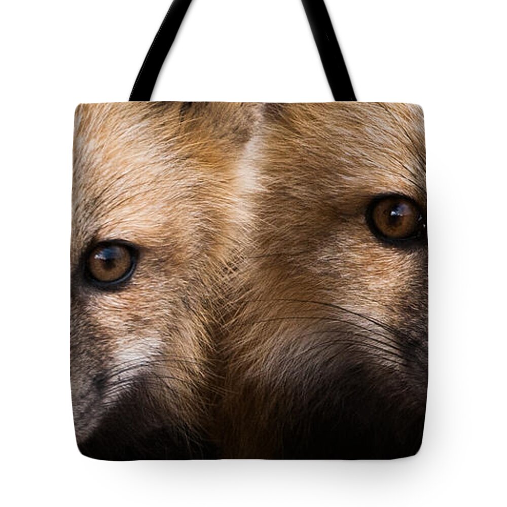Red Fox Tote Bag featuring the photograph Two Fox Kits by Mindy Musick King