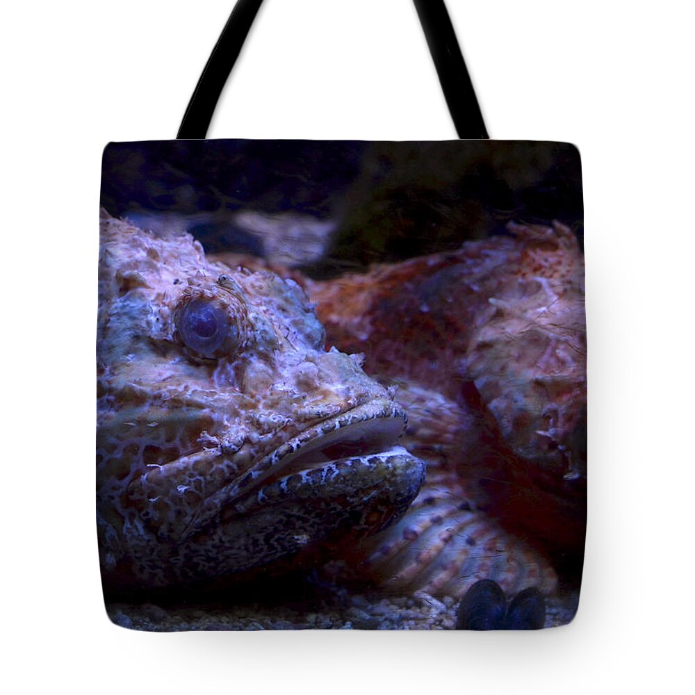 Fish Tote Bag featuring the digital art Old Friends by Leo Symon