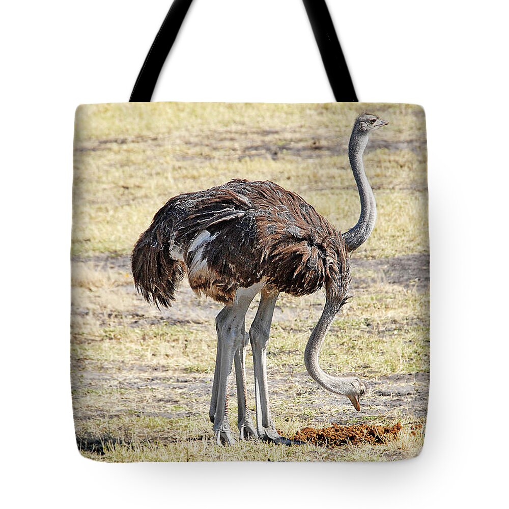 Ostrich Tote Bag featuring the photograph Two-Headed Ostrich by Ted Keller