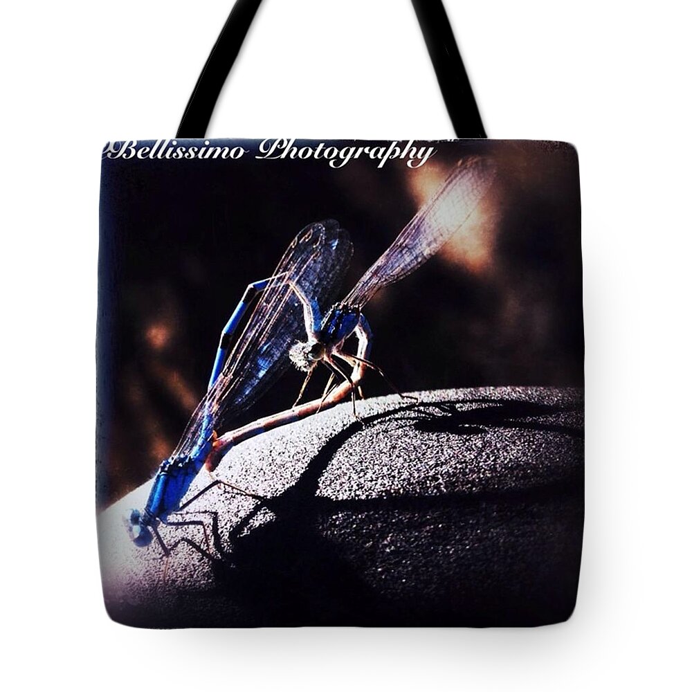  Tote Bag featuring the photograph Two Hearts by Briana Bell