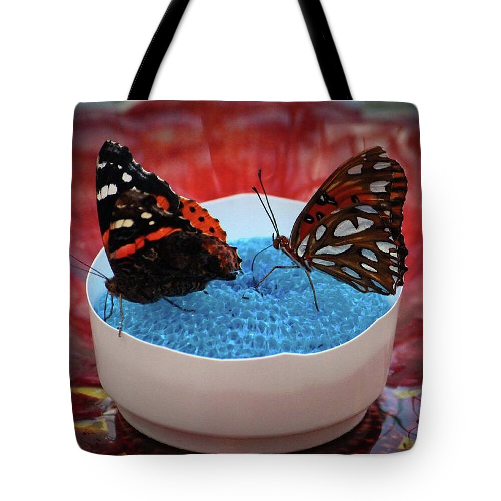 Butterfly Tote Bag featuring the photograph Two Lovely Butterflies by Cynthia Guinn