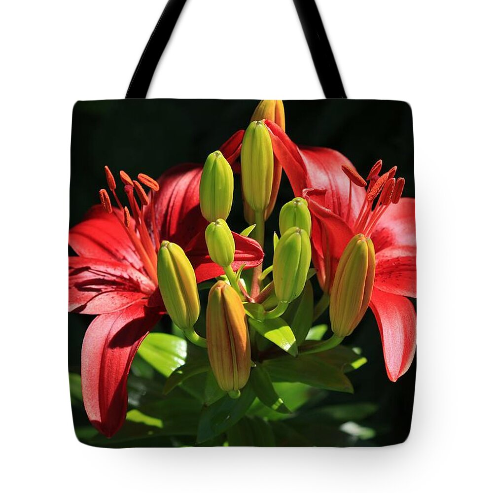 Two Tote Bag featuring the photograph Two of a Kind by Elizabeth Sullivan