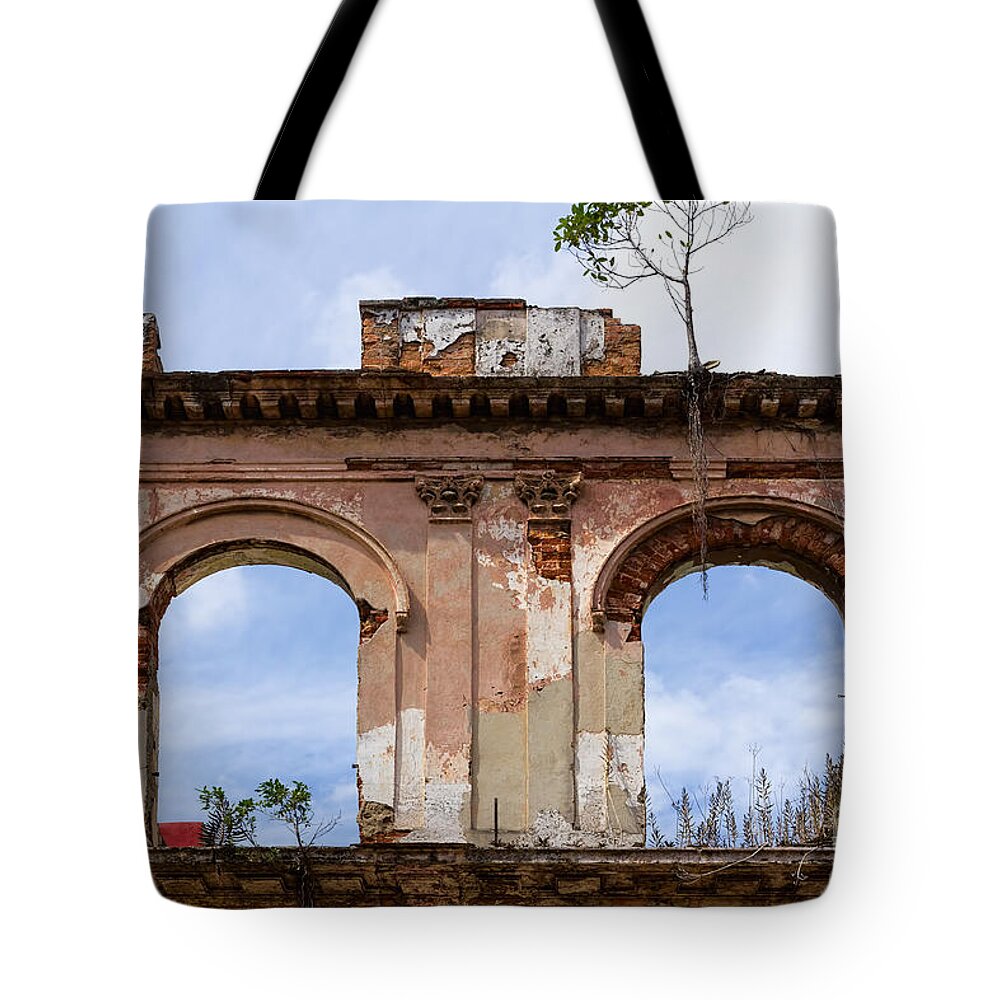 Old Tote Bag featuring the photograph Two picture windows by Les Palenik