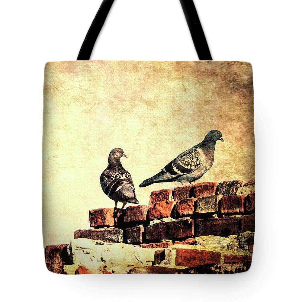 Pigeons Tote Bag featuring the photograph Two Pigeons by Bob Orsillo