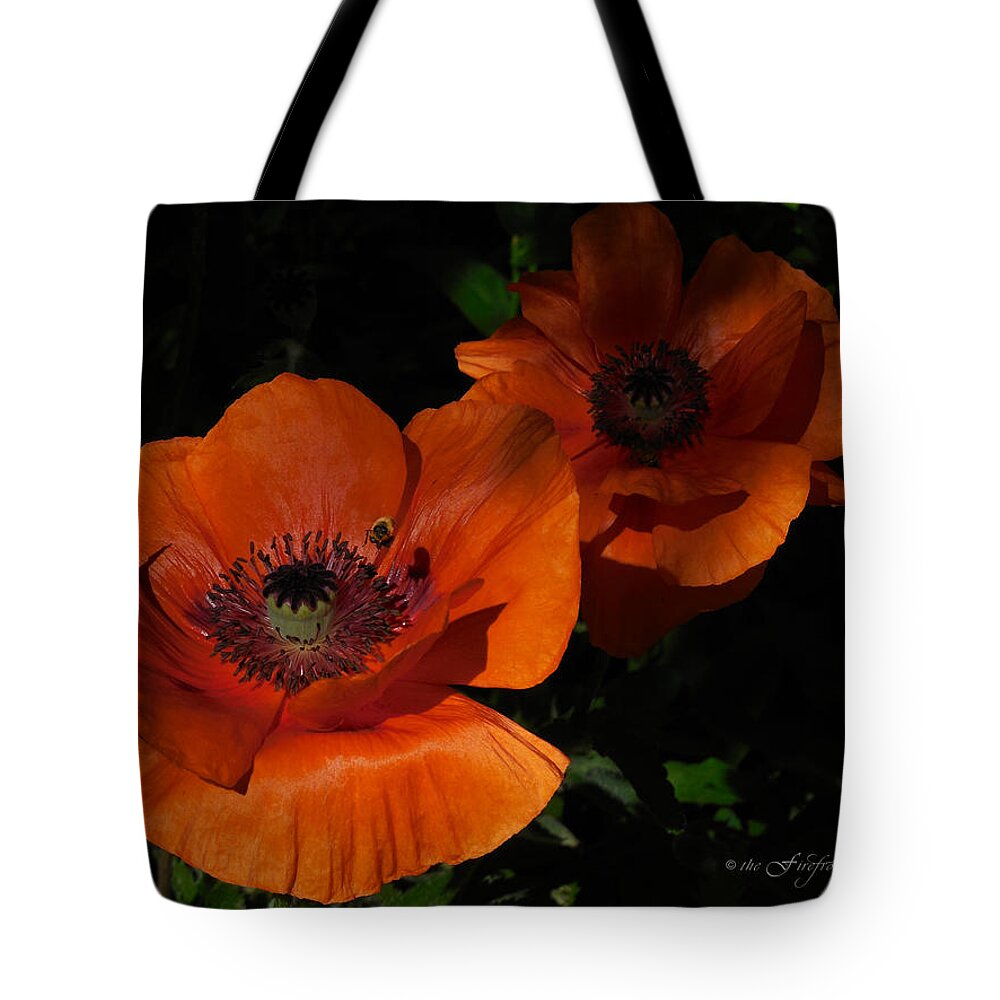 Poppies Tote Bag featuring the photograph Two Poppies and a Bee by Jill Westbrook