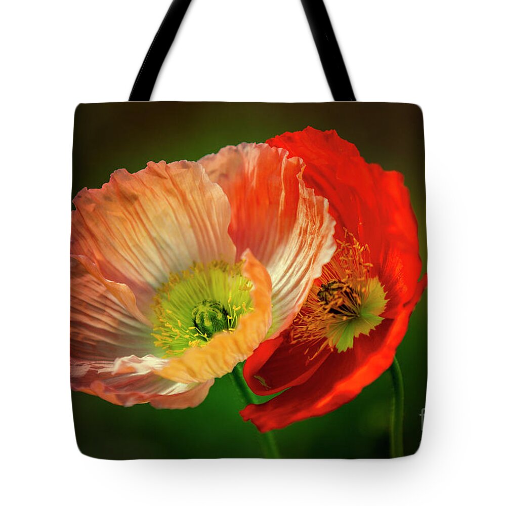 Poppy Tote Bag featuring the photograph Two Poppies by Heiko Koehrer-Wagner