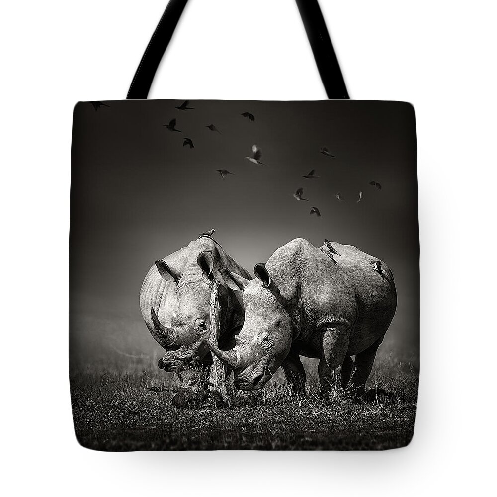 Rhinoceros Tote Bag featuring the photograph Two Rhinoceros with birds in BW by Johan Swanepoel