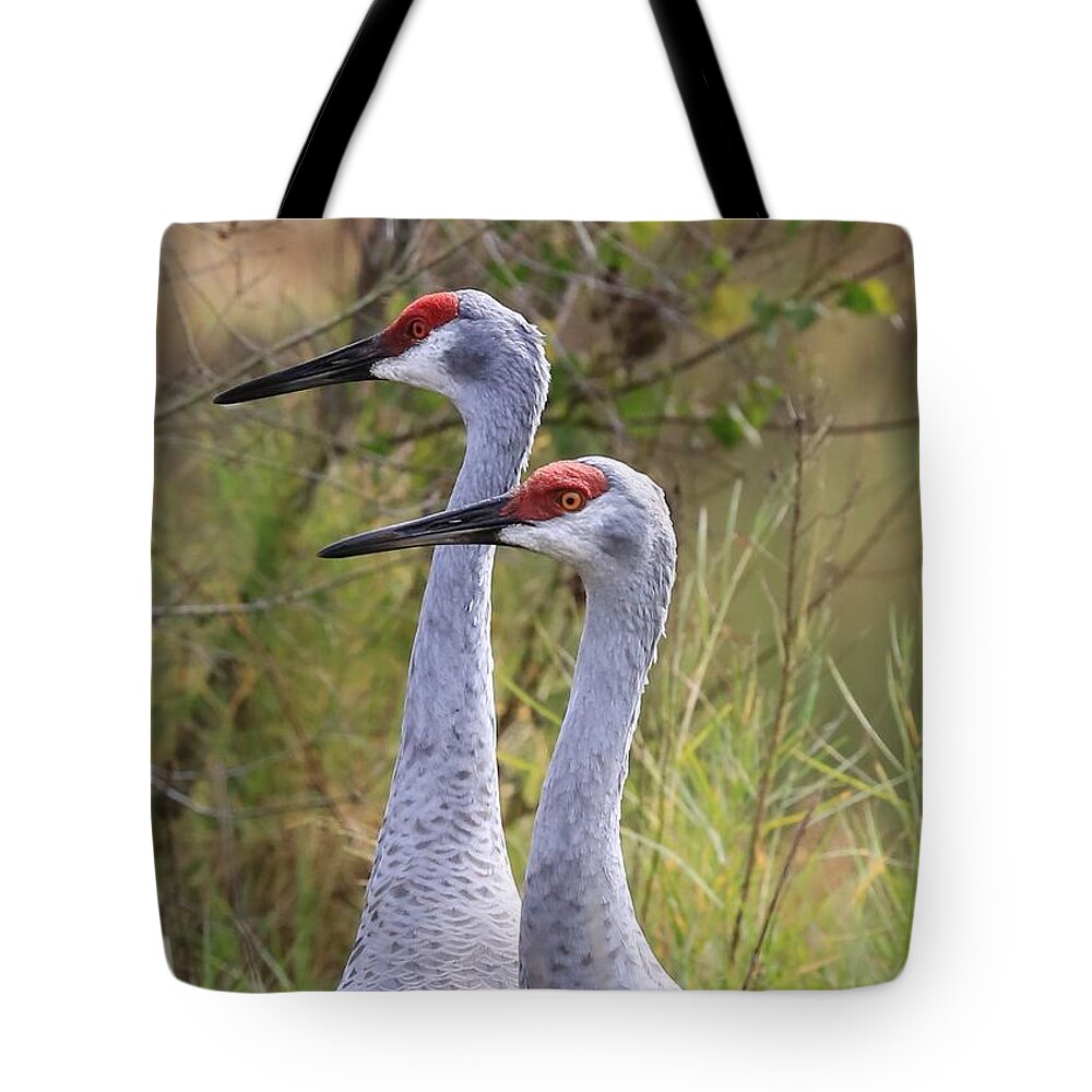 Sandhill Cranes Tote Bag featuring the photograph Two Sandhills in Green by Carol Groenen