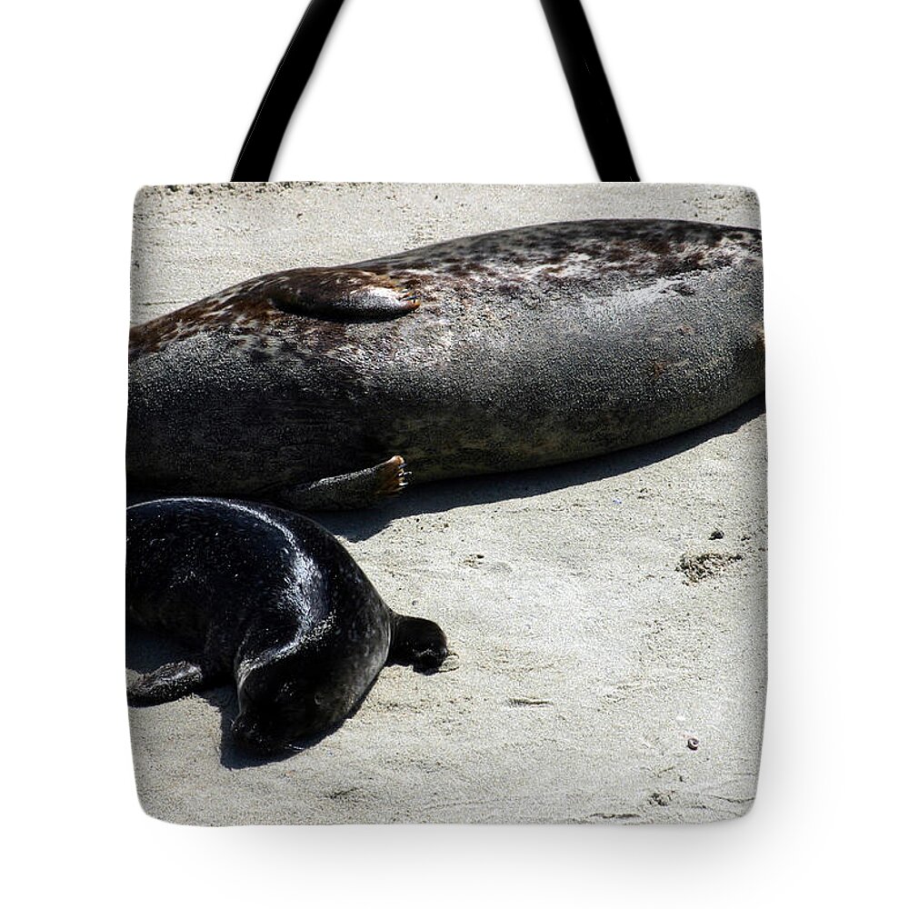 Seal Tote Bag featuring the photograph Two Seals by Anthony Jones